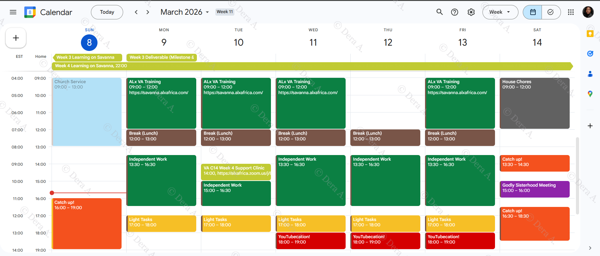 Calendar Management & Schedule Coordination